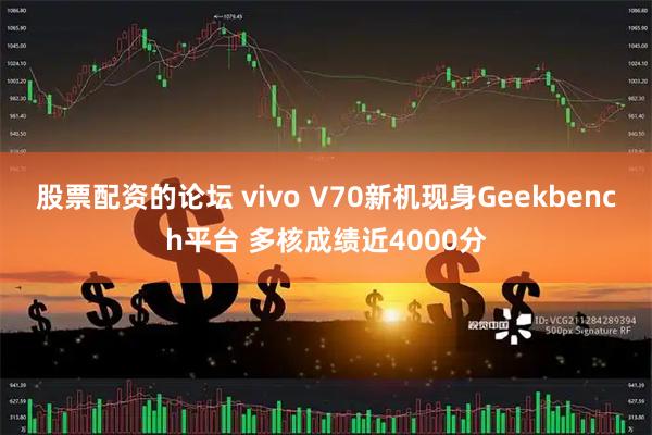 股票配资的论坛 vivo V70新机现身Geekbench平台 多核成绩近4000分