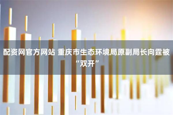 配资网官方网站 重庆市生态环境局原副局长向霆被“双开”